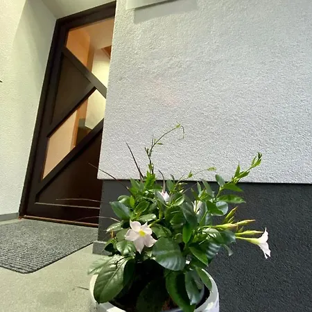 Apartma Bernard Radovljica Exterior photo